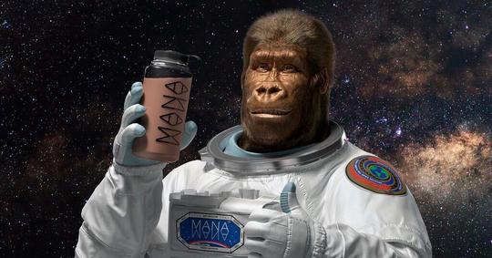 Čokoládový ManaPowder a Family Pack sú tu! Generácia Mark 6 je kompletná